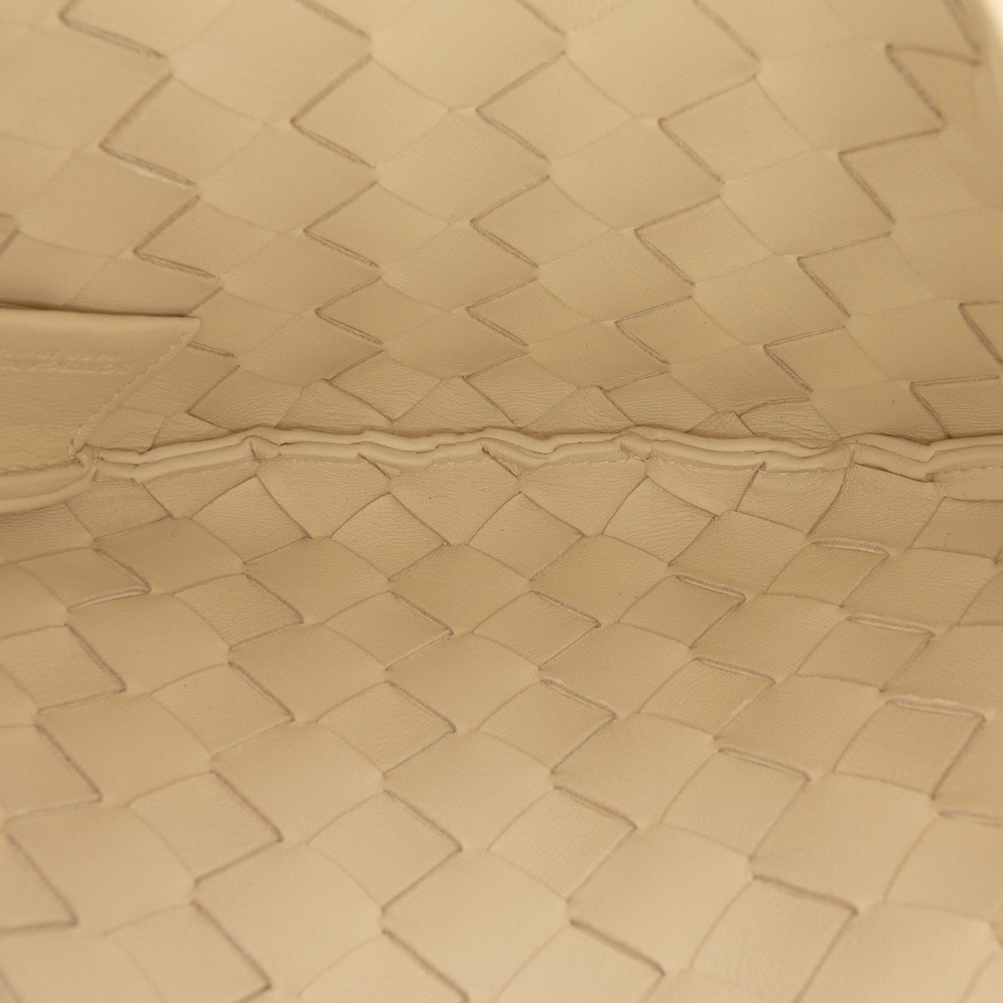 Bottega Veneta Sardine Bag