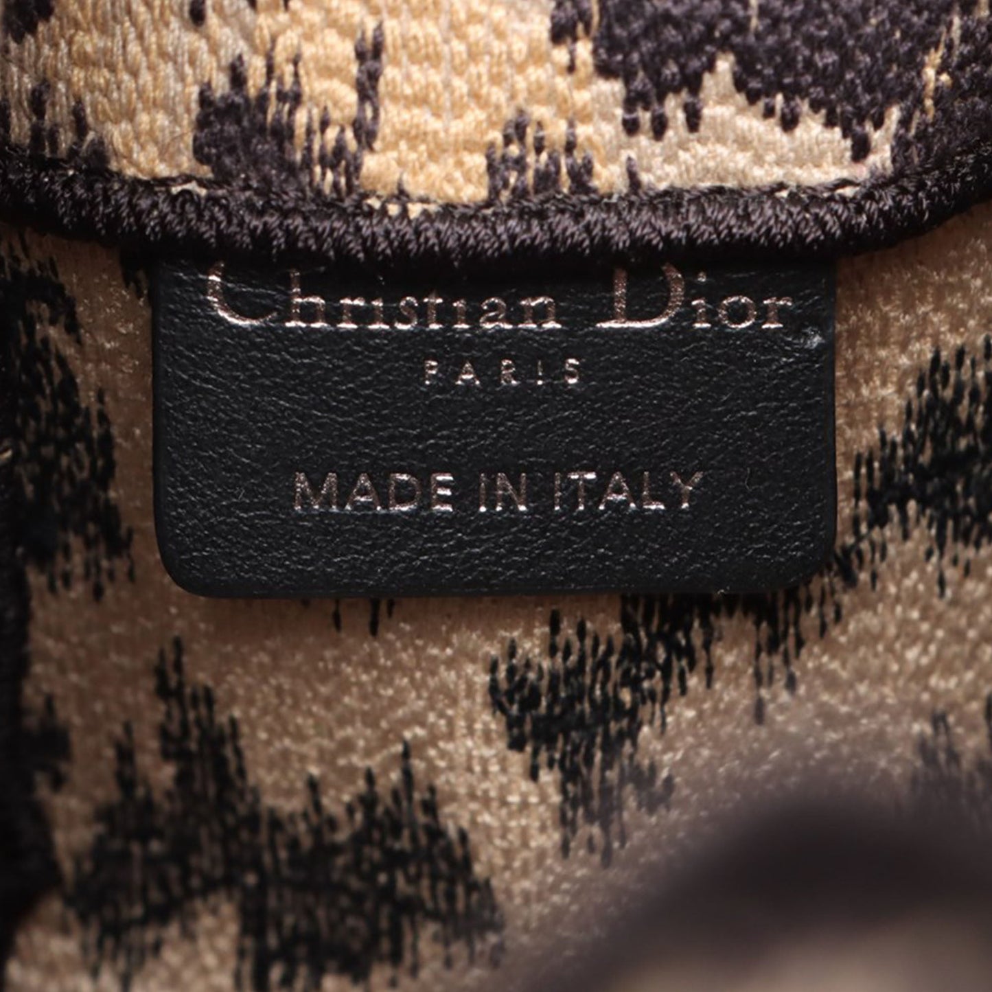 Dior Mizza Leopard DiorCamp Messenger Bag