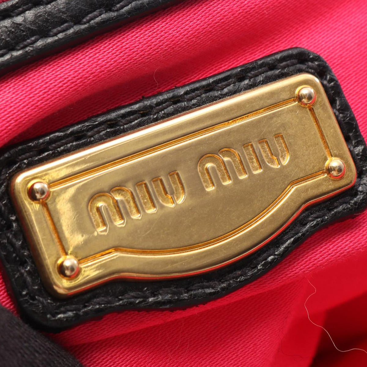 Miu Miu Vitello Shine Bag