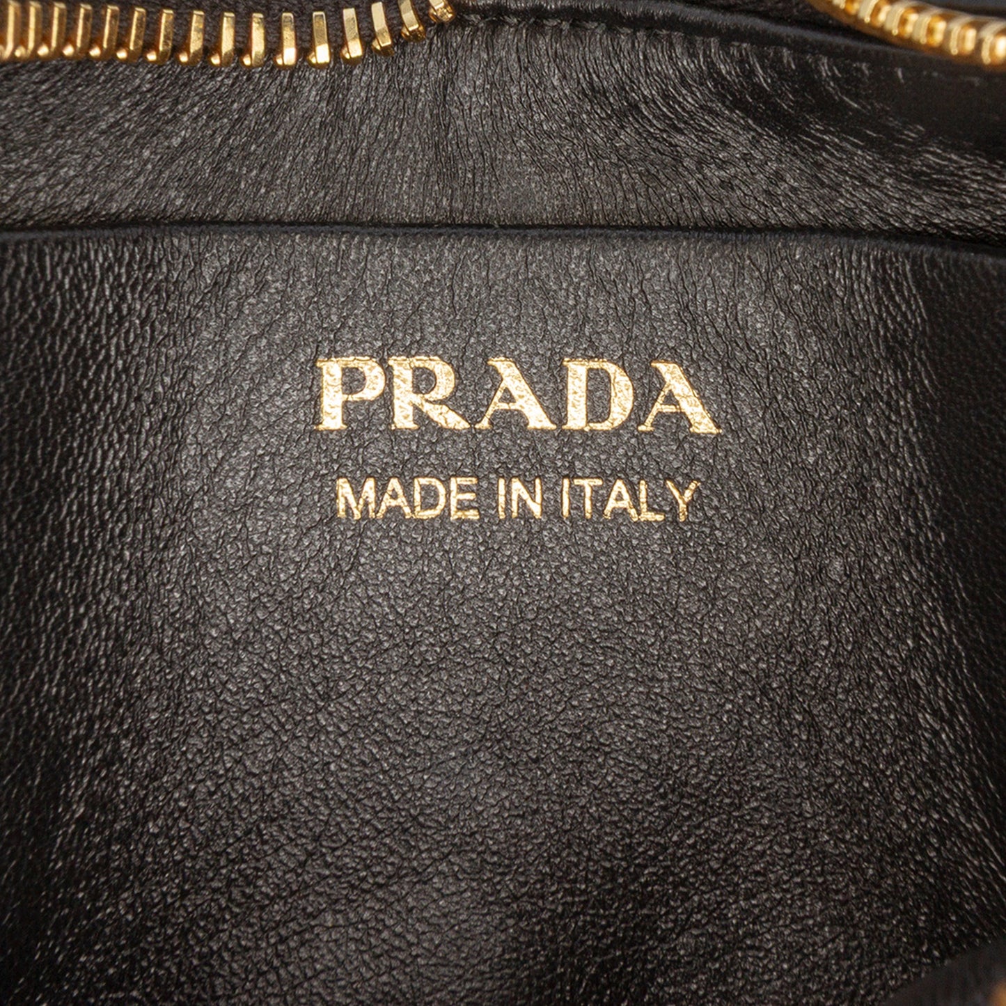 Prada Arque
