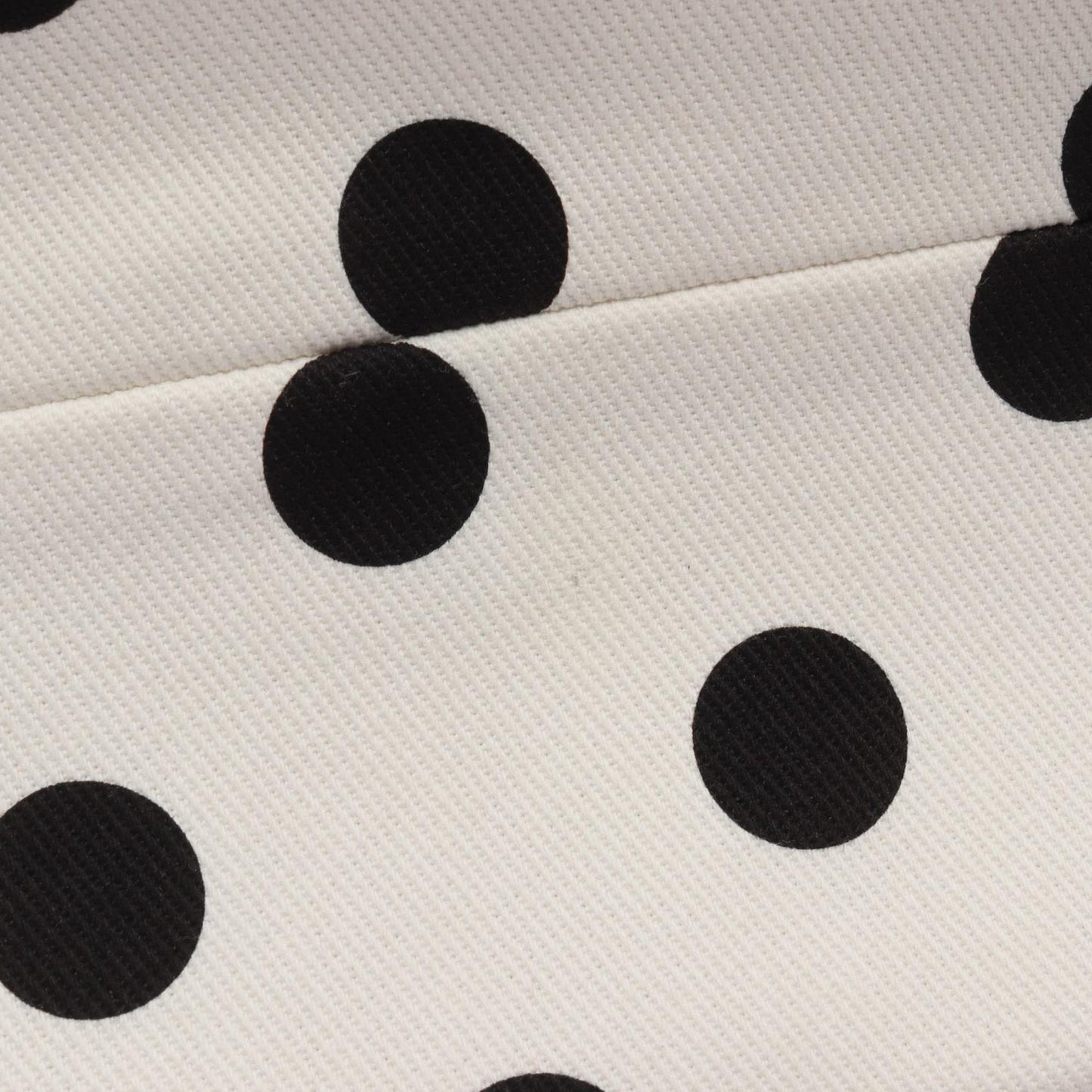 Miu Miu Printed Canvas Tote Bag