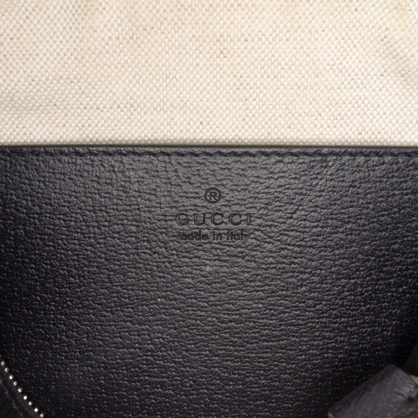 Gucci GG Supreme Ophidia Web