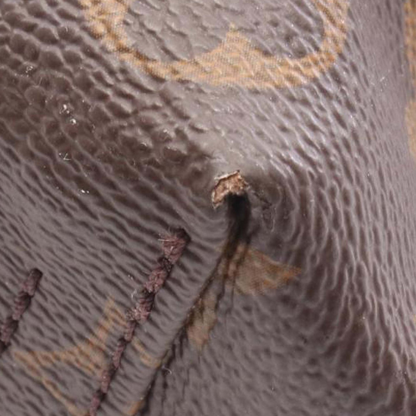 Louis Vuitton Monogram Atlantis