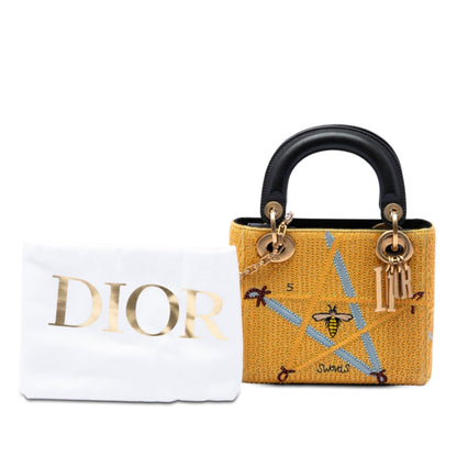 Dior Embroidered Canvas Swords Lady Dior Bag