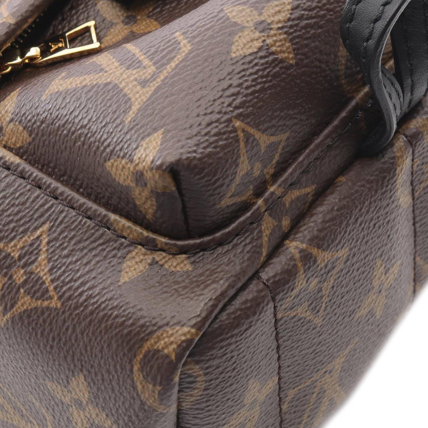 Louis Vuitton Palm Spring